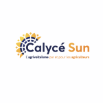 Calyce sun